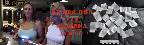 стаф Горнозаводск