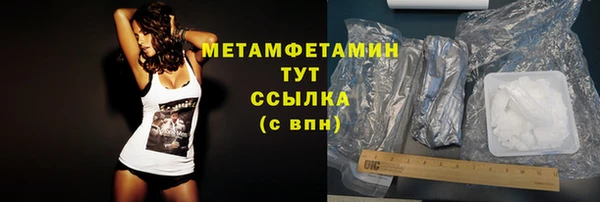 гидра Горно-Алтайск