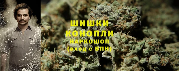 гидра Горно-Алтайск