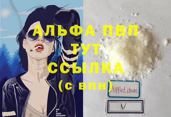 стаф Горнозаводск