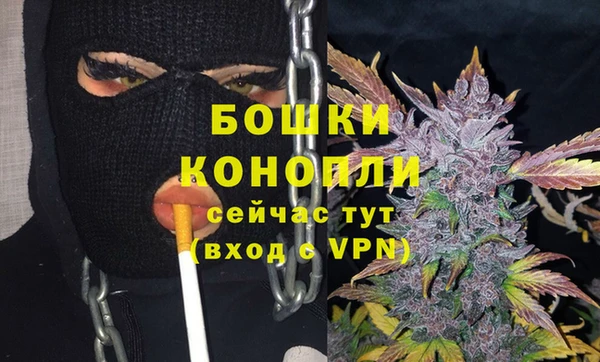 гидра Горно-Алтайск
