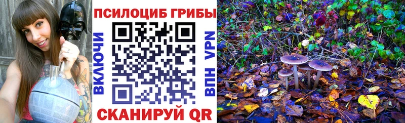 Галлюциногенные грибы Psilocybine cubensis  нарко площадка наркотические препараты  Щучье 